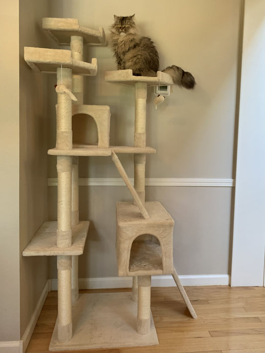 Cat Tree